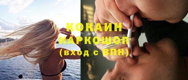 apvp Верея