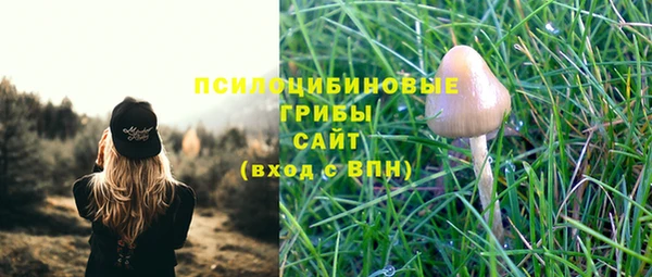 apvp Верея